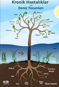 Kronik Hastalıklar ve Deniz Yosunları