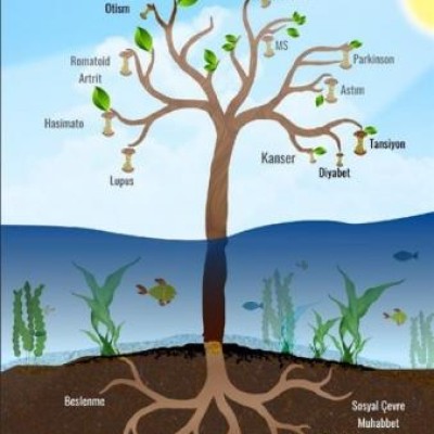 Kronik Hastalıklar ve Deniz Yosunları