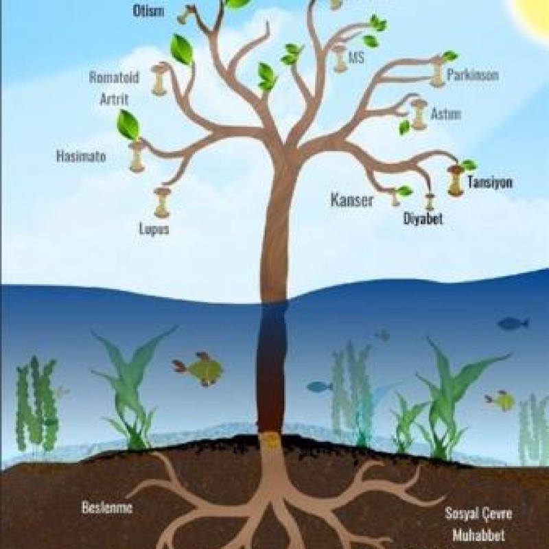 Kronik Hastalıklar ve Deniz Yosunları